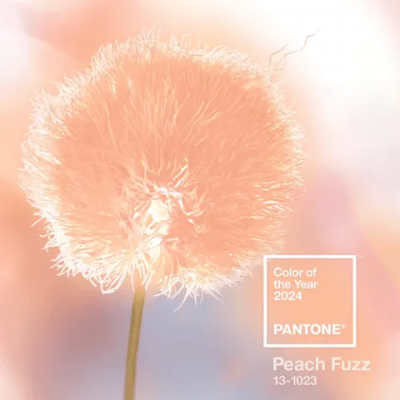 peach_fuzz_edit